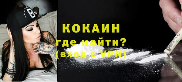 индика Армянск