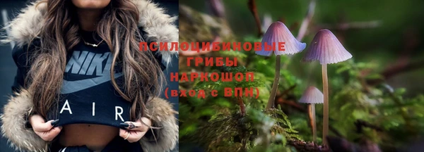 мескалин Арсеньев