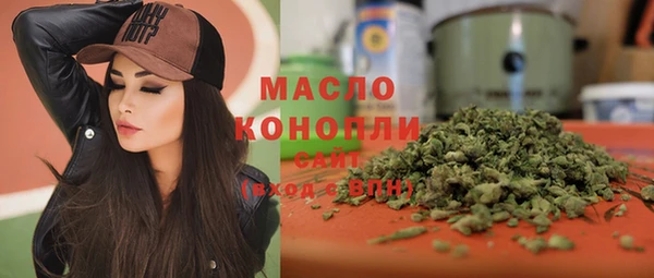 индика Армянск