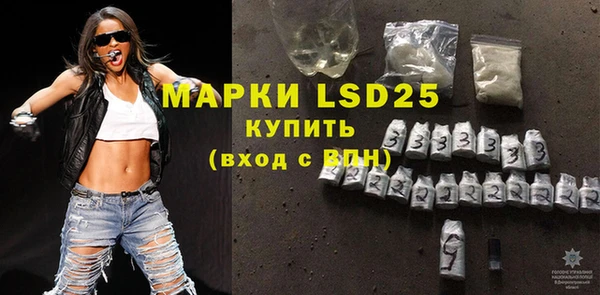 индика Армянск
