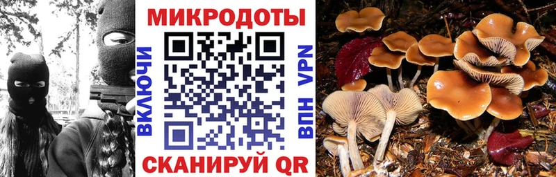 hydra вход  Нарткала  Галлюциногенные грибы GOLDEN TEACHER  наркошоп 